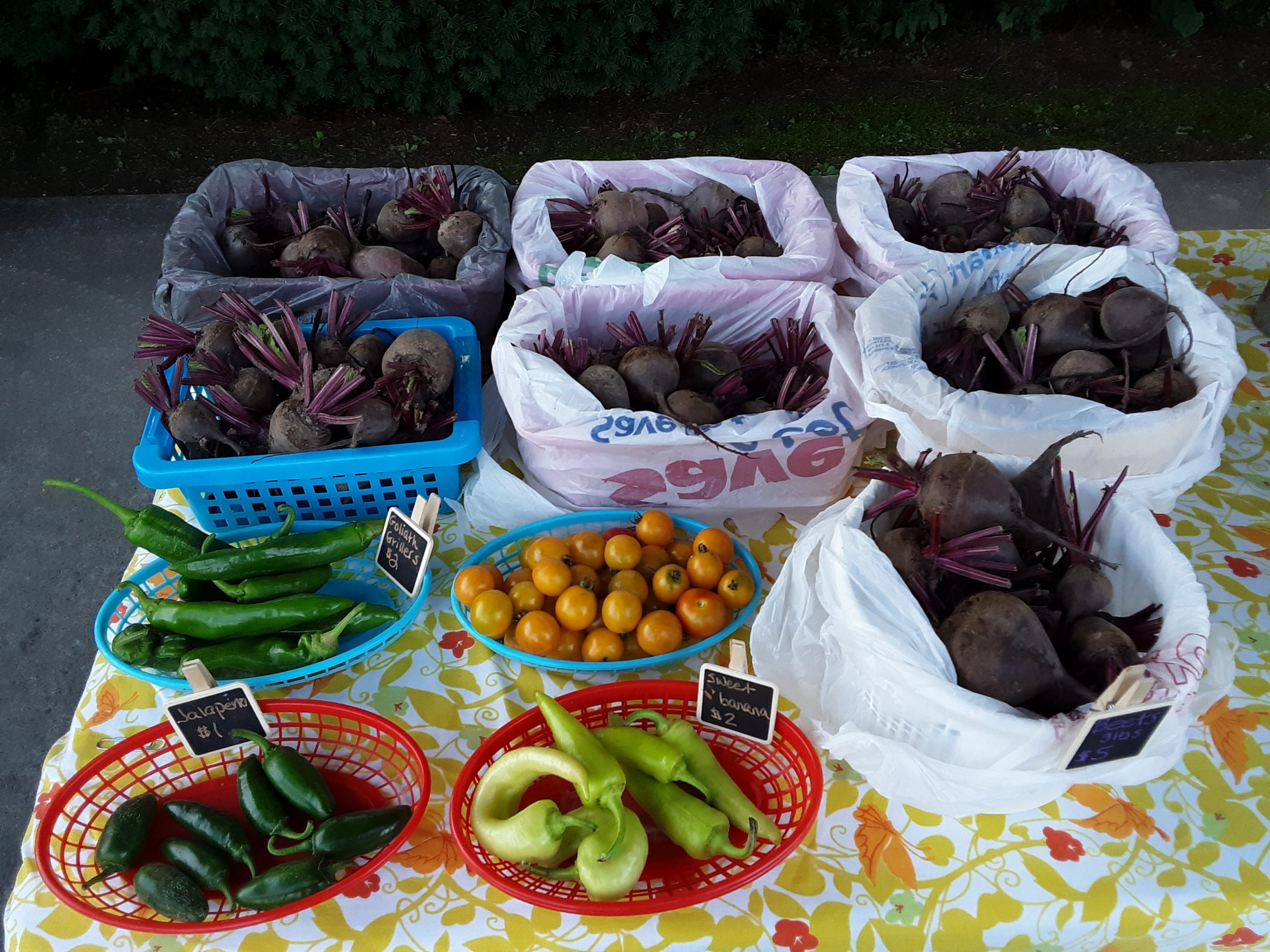 Farmer's Market